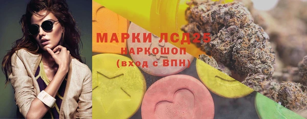 дурь Вяземский